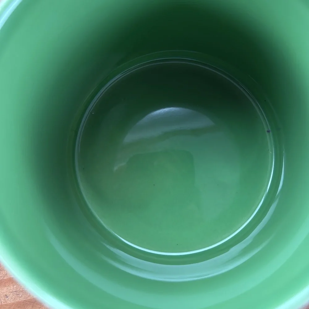 DISAPPEARING DINOSAURS MUG THE UNEMPLOYED PHILOSOPHERS GUILD 2015